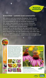 Pflanzen Kölle Prospekt Seite 13