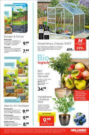 Hellweg Flugblatt Seite 35