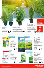 Hellweg Flugblatt Seite 37