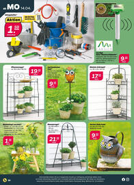 NETTO Prospekt woche 16 Seite 24