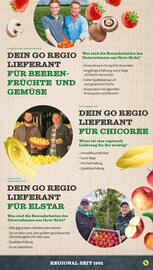 NETTO Prospekt woche 16 Seite 41