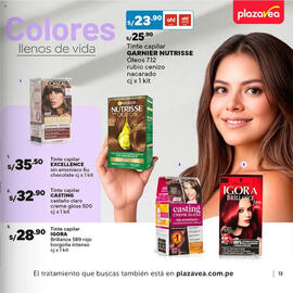 Catálogo Plaza Vea Página 13