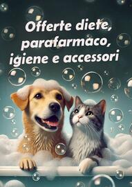 Volantino Lillo e i Vagabondi Pagina 10
