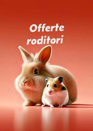 Volantino Lillo e i Vagabondi Pagina 14