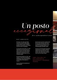 Testa Rossa Flugblatt Seite 18