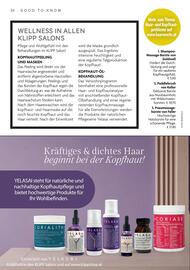 Klipp Frisör Flugblatt Seite 36