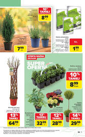 Carrefour gazetka Strona 5