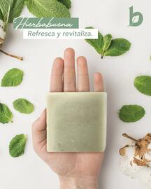 Catálogo Botanicus Página 3