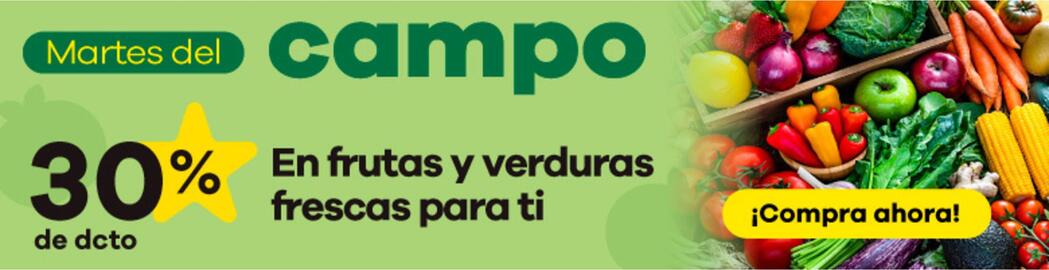 Catálogo Éxito Página 1