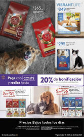 Catálogo Walmart Express Página 29