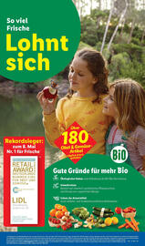 Lidl Prospekt Seite 17