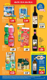 Lidl Prospekt Seite 25