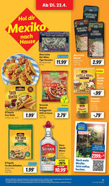 Lidl Prospekt Seite 27