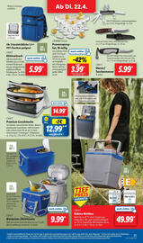 Lidl Prospekt Seite 31