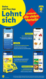 Lidl Prospekt Seite 60