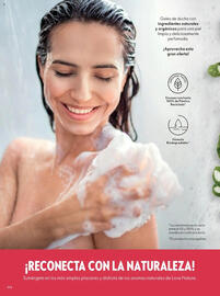 Catálogo Oriflame Página 378