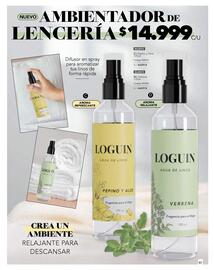 Catálogo Loguin Página 105