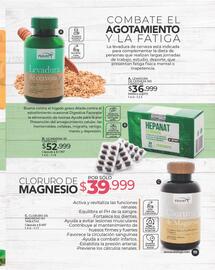Catálogo Dolce Catálogos Página 111
