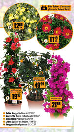 Hornbach Flugblatt Seite 11