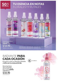 Catálogo Avon Página 539