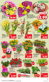 Kaufland Prospekt woche 16 Seite 21