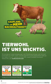 Kaufland Prospekt woche 16 Seite 56