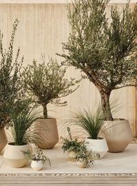 Bolia tilbudsavis Side 35