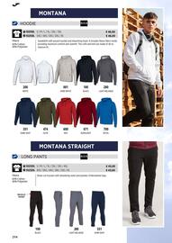 Joma folder Pagina 214