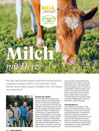 Billa Flugblatt Seite 108