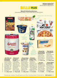 Billa Flugblatt Seite 11