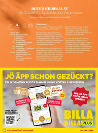 Billa Flugblatt Seite 139