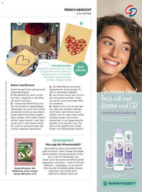 Billa Flugblatt Seite 15
