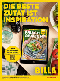 Billa Flugblatt Seite 172