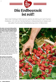Billa Flugblatt Seite 94