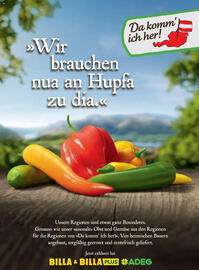 Billa Flugblatt Seite 96