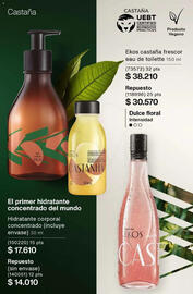 Catálogo Natura Página 450