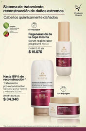 Catálogo Natura Página 486