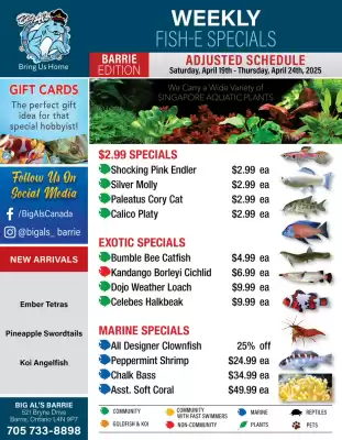 Big Al&#x27;s Pets flyer (valid until 24-04)