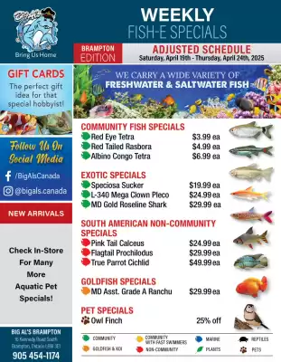 Big Al&#x27;s Pets flyer (valid until 24-04)