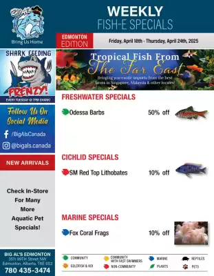 Big Al&#x27;s Pets flyer (valid until 24-04)