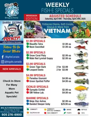 Big Al&#x27;s Pets flyer (valid until 24-04)