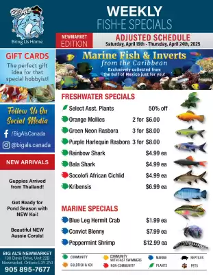 Big Al&#x27;s Pets flyer (valid until 24-04)