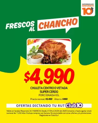 Catálogo Mayorista 10 (válido hasta 23-04)