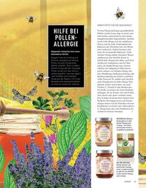 Hofer Flugblatt Seite 37