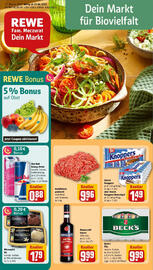 REWE Prospekt woche 17 Seite 1