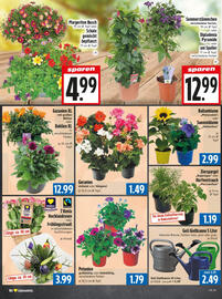 EDEKA Hahner Prospekt Seite 8