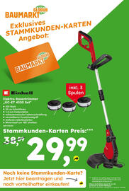 Globus Baumarkt Prospekt woche 17 Seite 17