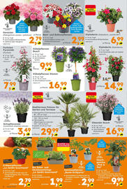 Globus Baumarkt Prospekt woche 17 Seite 2