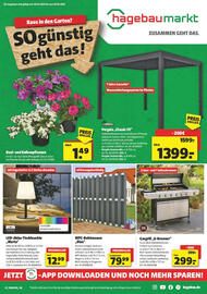 Hagebau Prospekt woche 17 Seite 1