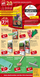 Sonderpreis Baumarkt Prospekt woche 17 Seite 6